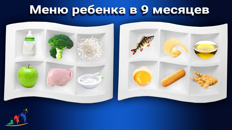 меню прикрм ребенка в 9 месяцев