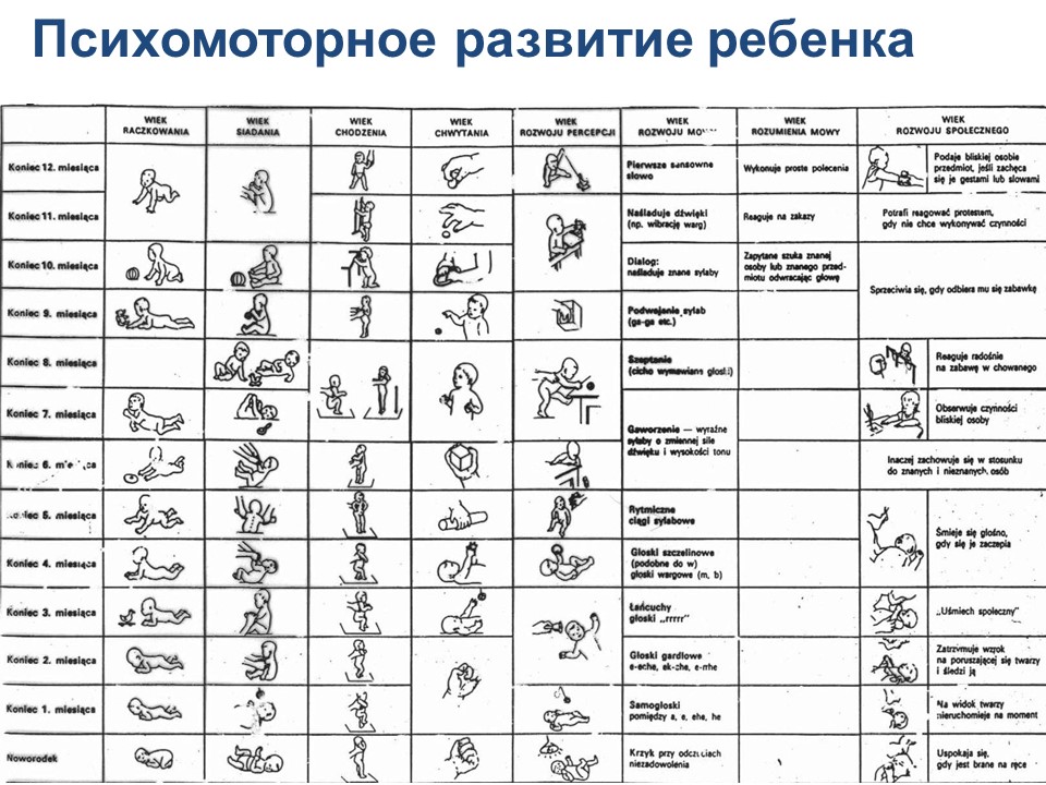 Схема нормального психомоторного развития ребенка