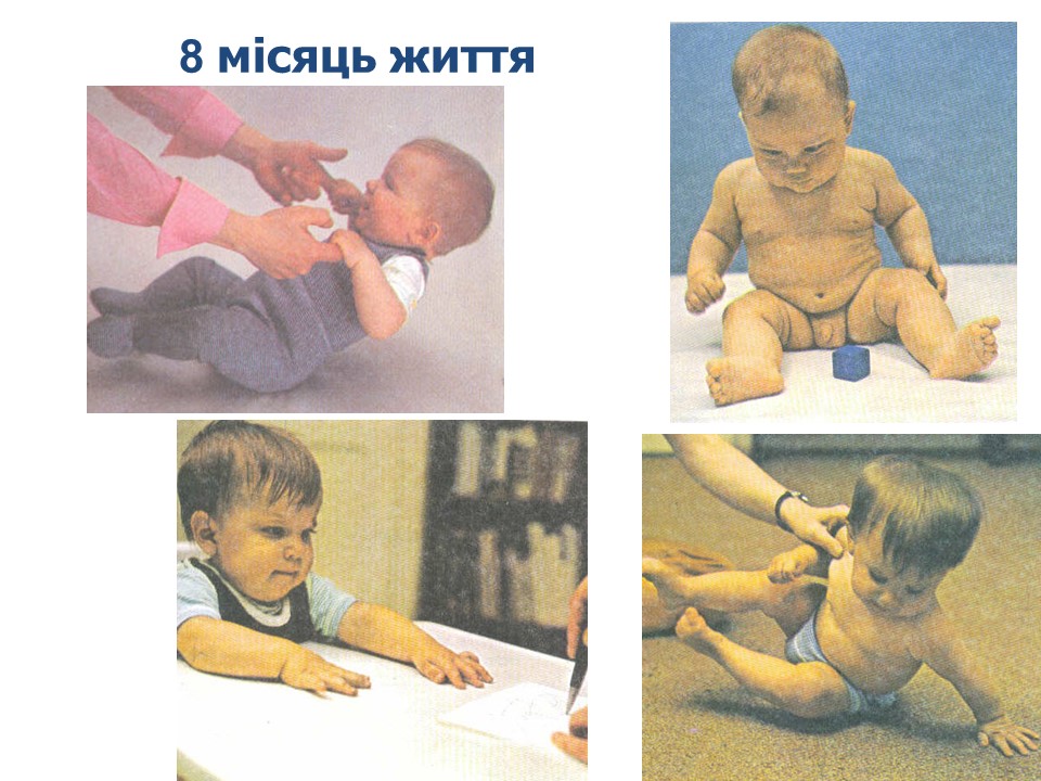 8-й місяць життя дитина фото