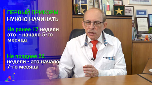 Сроки введении первого прикорма