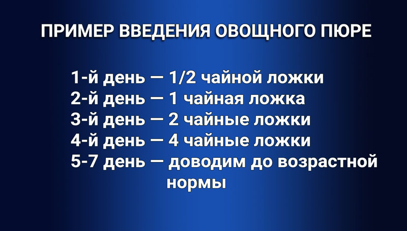 Схема пример введения овощного пюре
