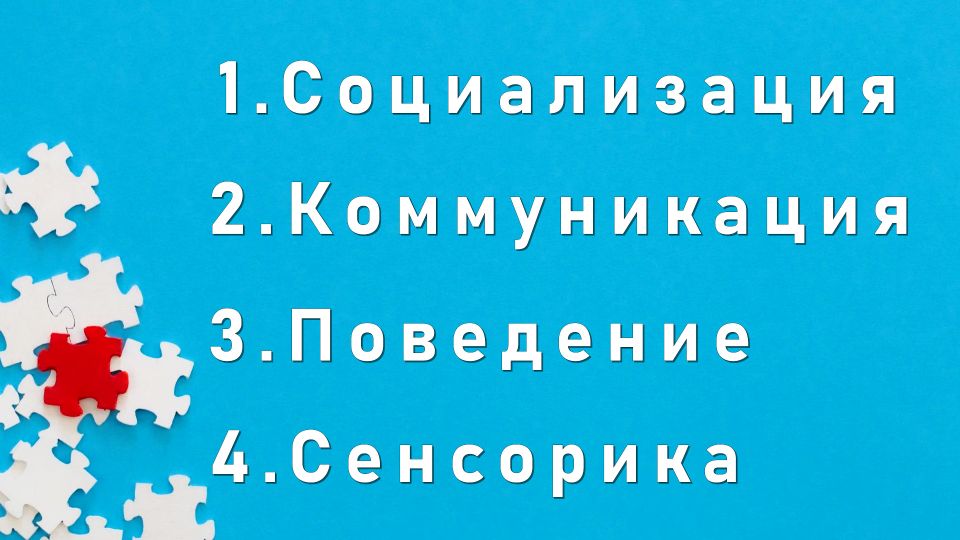 4 признака, которые помогают диагностировать аутизм у ребенка: социализация, коммуникация, поведение, сенсорика