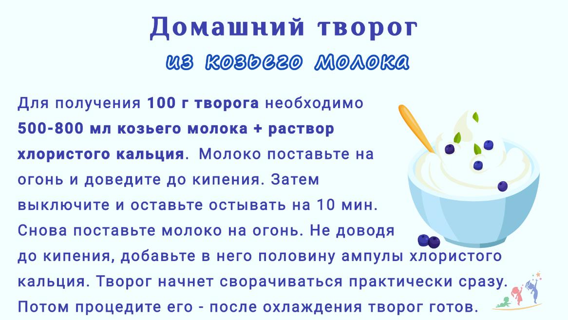 Домашний творог из козьего молока