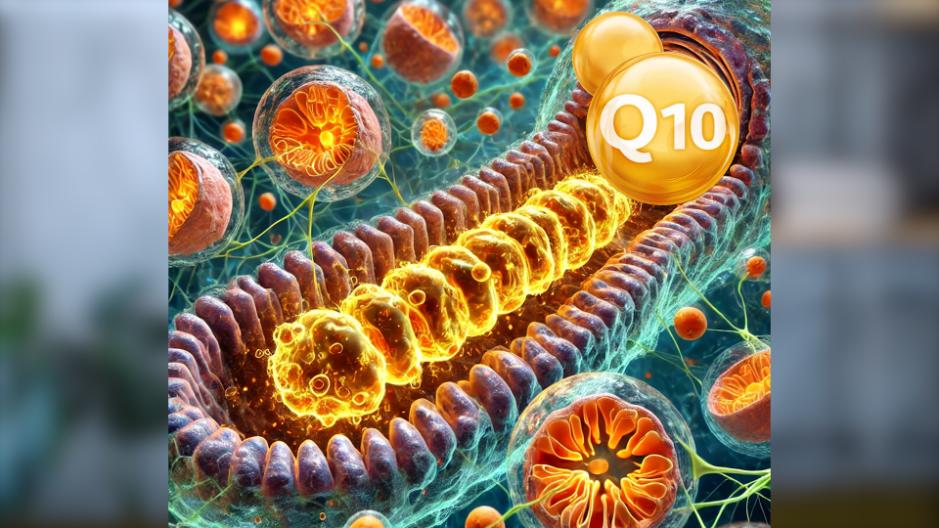 Для чего принимать коэнзим Q10 - для энергии в организме