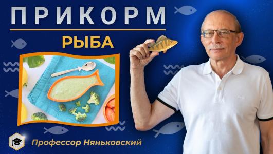 Когда, какую рыбу и сколько вводить в прикорм? Топ 5 блюд из рыбы для прикорма.