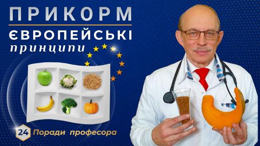 Прикорм дитини - 4, 5, 6 до 12 місяців. Європейські принципи введення прикорму дитині